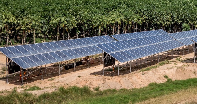 Wie drijft de zonne-energieboom op de Filipijnen aan te midden van klimaatrisico's op het eiland? | Art Sign